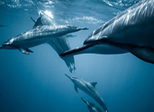 开云体育官网-阿尔特塔：希望这是转折 兰帕德：踢得差时啥都不顺